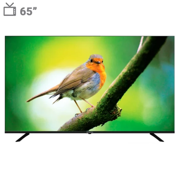 تلویزیون 65 اینچ QLED سونیا