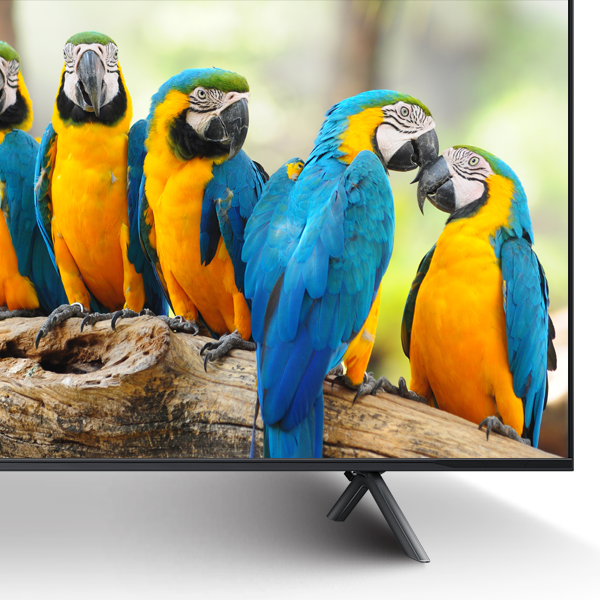 تلویزیون کیو ال ای دی (QLED) 75 اینچ هایسنس مدل 75Q7N - Image 2